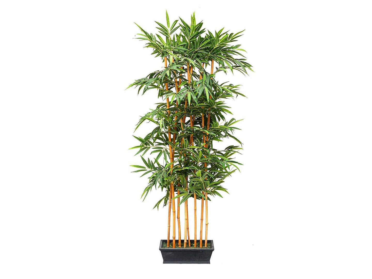 Spring Bamboo Tree, 78 in.