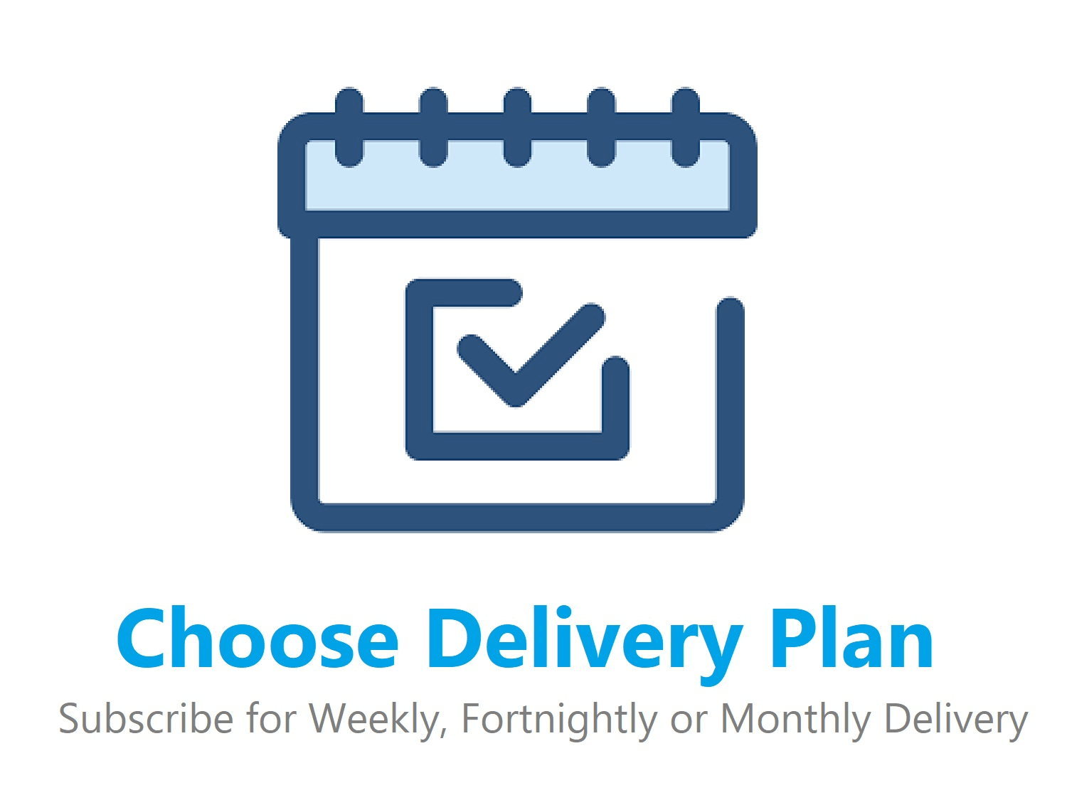 Delivery Plan - SIZ